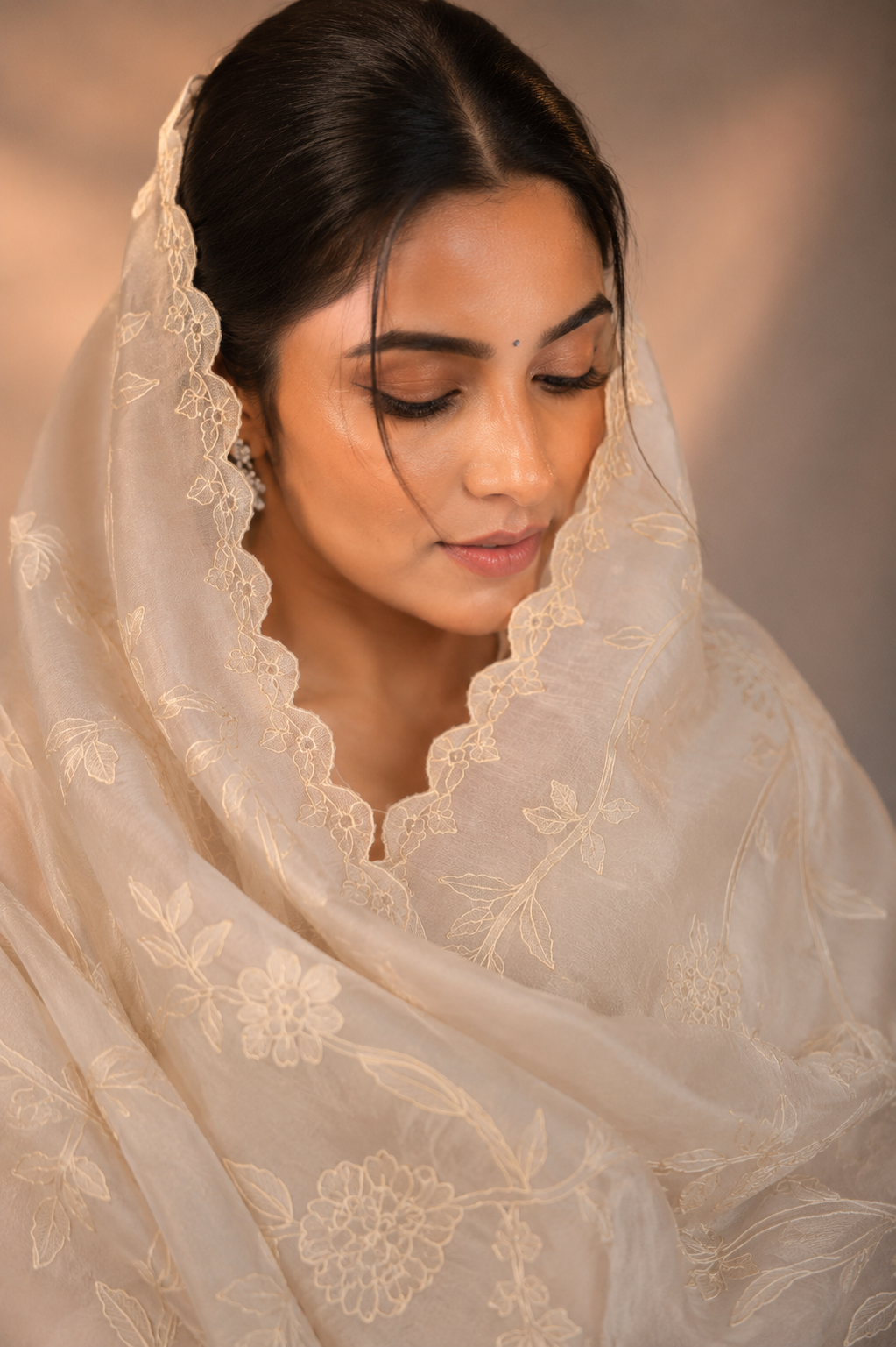 organza saree featuring intricate chanderi appliqué work