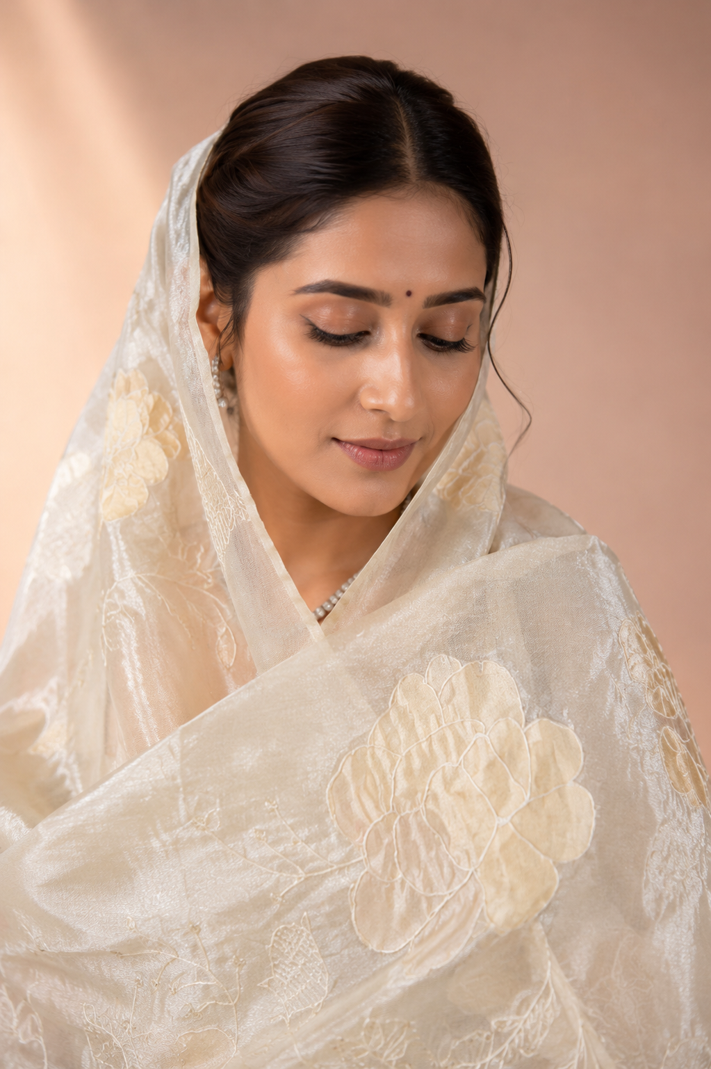 Pure tissue silk saree with beautiful applique work embroidery design