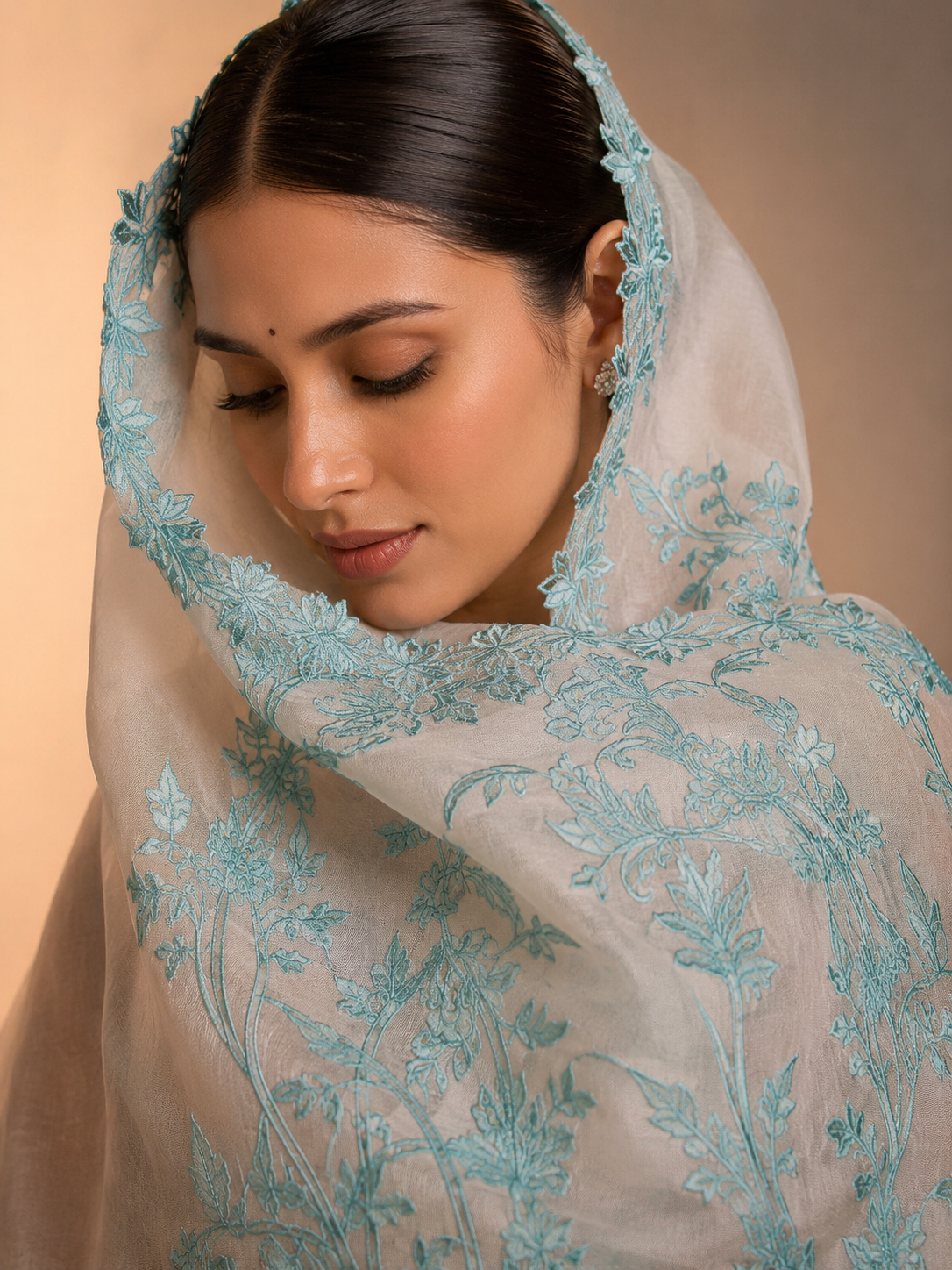 Organza saree featuring exquisite chanderi appliqué work