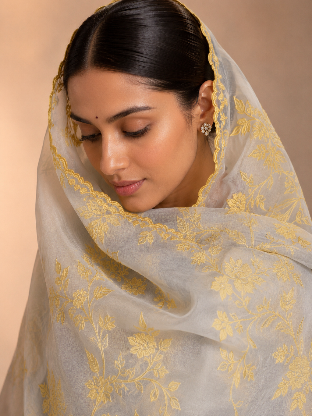 Organza saree with exquisite chanderi appliqué work