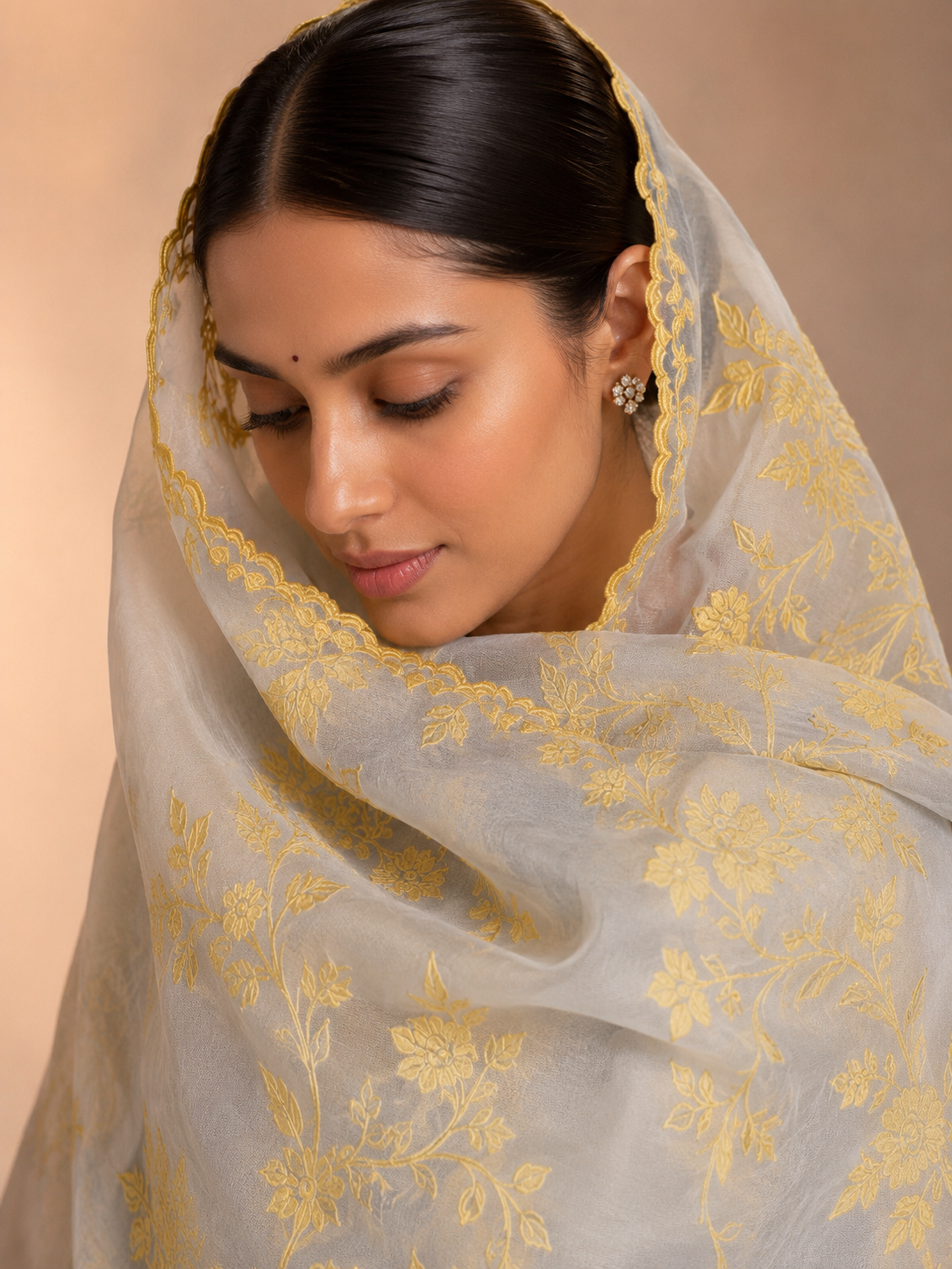 Organza saree with exquisite chanderi appliqué work