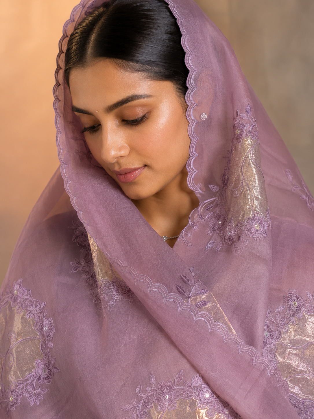 Organza saree tissue silver gold  appliqué zari coding work