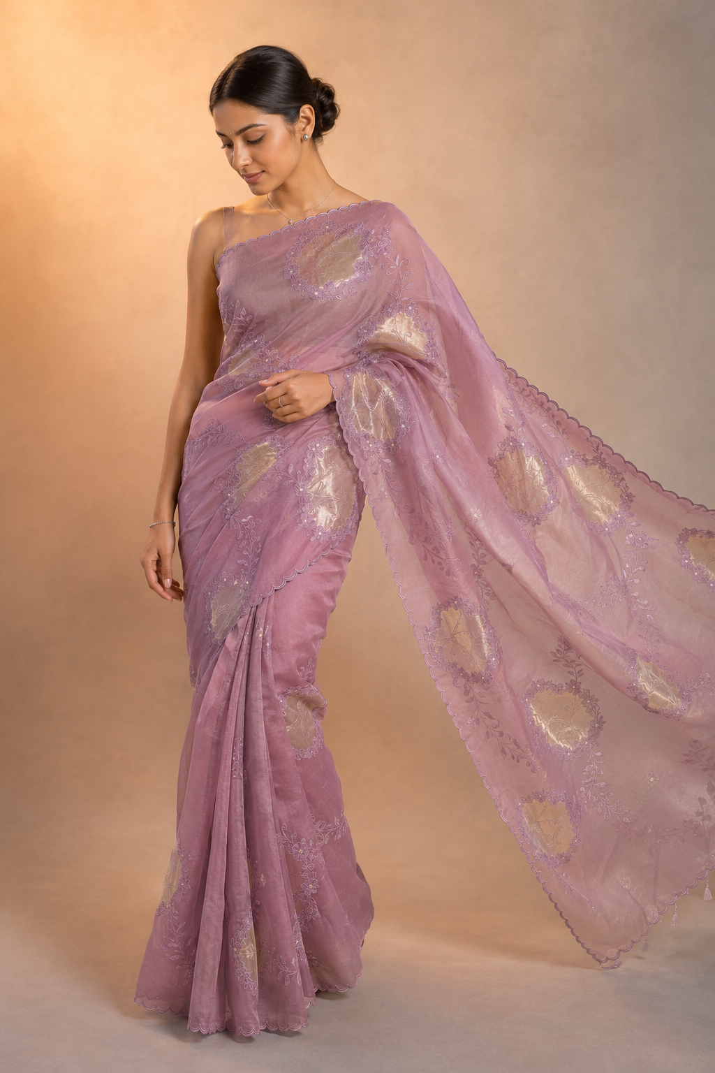 Organza saree tissue silver gold  appliqué zari coding work