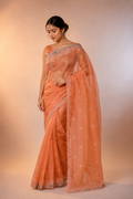 Organza saree crafted with exquisite silver and gold tissue appliqué work