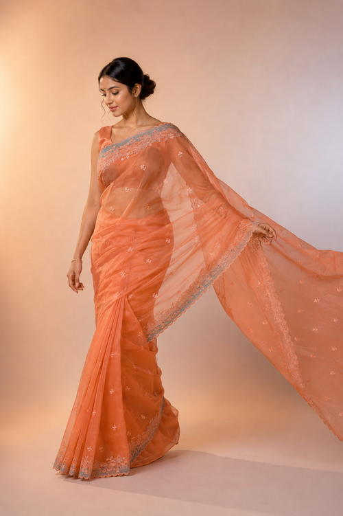 Organza saree crafted with exquisite silver and gold tissue appliqué work