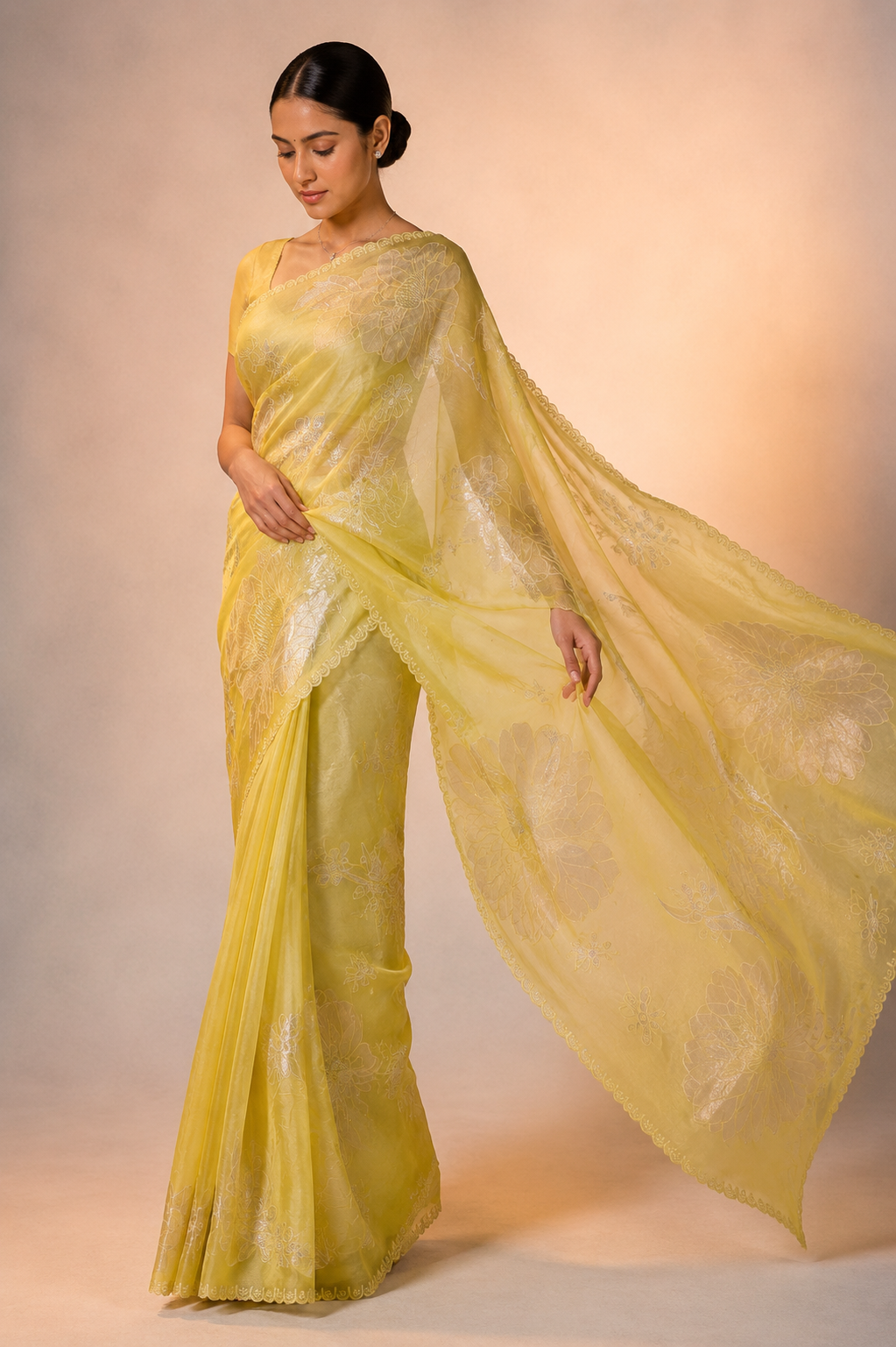 Organza tissue fabric adorned with intricate zari coding and delicate appliqué embroidery work.