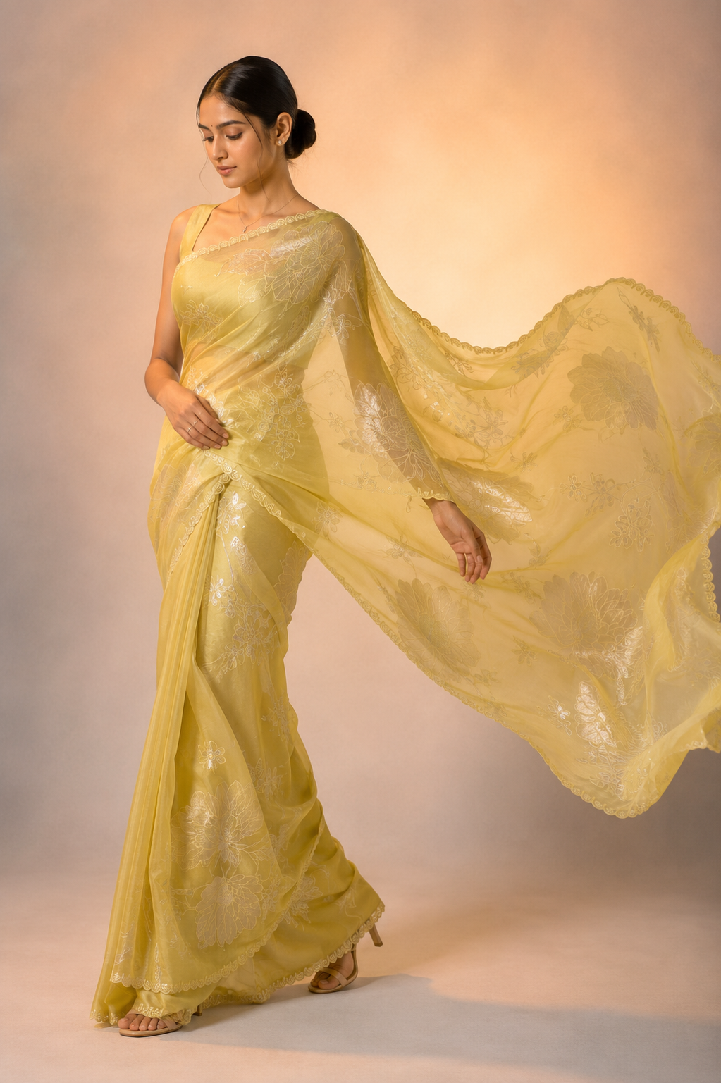 Organza tissue fabric adorned with intricate zari coding and delicate appliqué embroidery work.